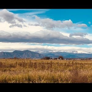 Meet your Posher, Alicia